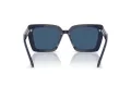 Swarovski Lunettes de Soleil SK 6032 100455