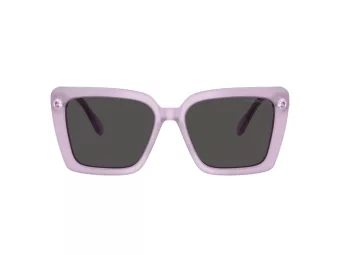Swarovski Lunettes de Soleil SK 6032 107587