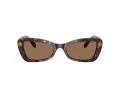 Swarovski Lunettes de Soleil SK 6033 100273