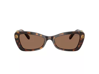 Swarovski Lunettes de Soleil SK 6033 100273