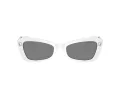 Swarovski Lunettes de Soleil SK 6033 105087