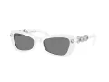 Swarovski Lunettes de Soleil SK 6033 105087
