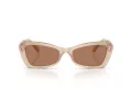 Swarovski Lunettes de Soleil SK 6033 106673