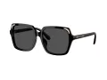 Swarovski Lunettes de Soleil SK 6034D 100187
