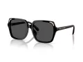 Swarovski Lunettes de Soleil SK 6034D 100187