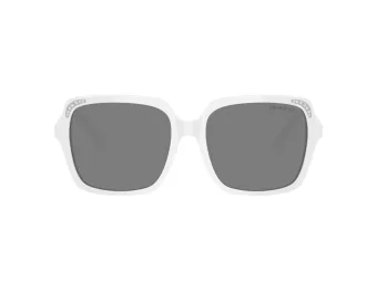 Swarovski Lunettes de Soleil SK 6034D 105087