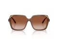 Swarovski Lunettes de Soleil SK 6034D 106713