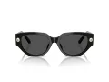 Swarovski Lunettes de Soleil SK 6035D 100187