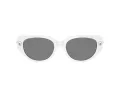 Swarovski Lunettes de Soleil SK 6035D 105087