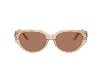 Swarovski Lunettes de Soleil SK 6035D 106673