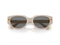 Swarovski Lunettes de Soleil SK 6035D 106887