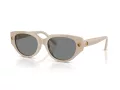 Swarovski Lunettes de Soleil SK 6035D 106887