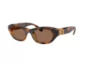Swarovski Lunettes de Soleil SK 6036U 100273