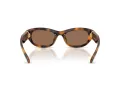 Swarovski Lunettes de Soleil SK 6036U 100273