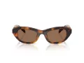 Swarovski Lunettes de Soleil SK 6036U 100273