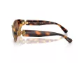 Swarovski Lunettes de Soleil SK 6036U 100273