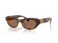 Swarovski Lunettes de Soleil SK 6036U 100273