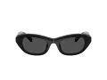Swarovski Lunettes de Soleil SK 6036U 103887
