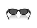Swarovski Lunettes de Soleil SK 6036U 103887