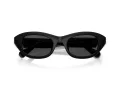 Swarovski Lunettes de Soleil SK 6036U 103887