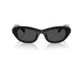 Swarovski Lunettes de Soleil SK 6036U 103887