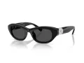 Swarovski Lunettes de Soleil SK 6036U 103887