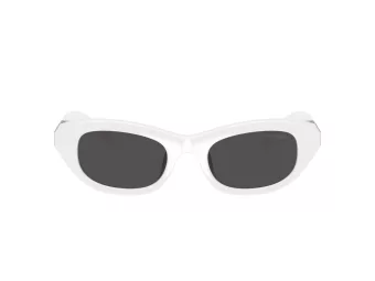 Swarovski Lunettes de Soleil SK 6036U 105087
