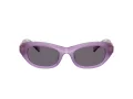 Swarovski Lunettes de Soleil SK 6036U 10751A