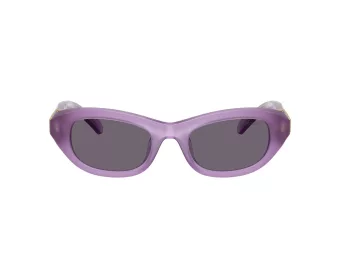 Swarovski Lunettes de Soleil SK 6036U 10751A
