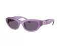 Swarovski Lunettes de Soleil SK 6036U 10751A