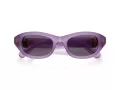 Swarovski Lunettes de Soleil SK 6036U 10751A