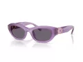 Swarovski Lunettes de Soleil SK 6036U 10751A