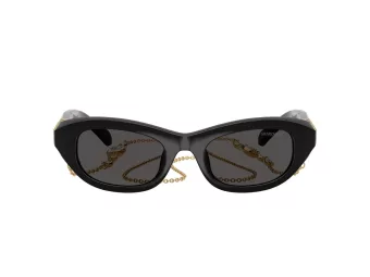 Swarovski Lunettes de Soleil SK 6036U 107687