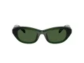Swarovski Lunettes de Soleil SK 6036U 108171