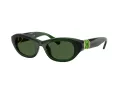 Swarovski Lunettes de Soleil SK 6036U 108171