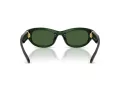 Swarovski Lunettes de Soleil SK 6036U 108171