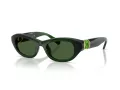 Swarovski Lunettes de Soleil SK 6036U 108171