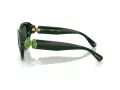 Swarovski Lunettes de Soleil SK 6037 102671