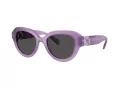 Swarovski Lunettes de Soleil SK 6037 107587