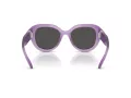 Swarovski Lunettes de Soleil SK 6037 107587