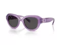 Swarovski Lunettes de Soleil SK 6037 107587