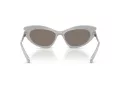 Swarovski Lunettes de Soleil SK 6038 10596G