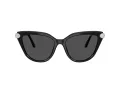 Swarovski Lunettes de Soleil SK 6039 100187