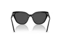 Swarovski Lunettes de Soleil SK 6039 100187