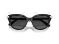 Swarovski Lunettes de Soleil SK 6039 100187