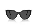 Swarovski Lunettes de Soleil SK 6039 100187