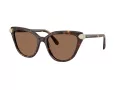 Swarovski Lunettes de Soleil SK 6039 100273