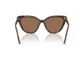Swarovski Lunettes de Soleil SK 6039 100273