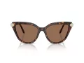 Swarovski Lunettes de Soleil SK 6039 100273