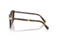 Swarovski Lunettes de Soleil SK 6039 100273